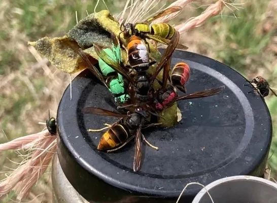 The triplex celeste onlyfans leak the initial time meeting